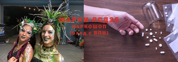 таблы Бородино