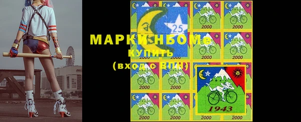 таблы Бородино
